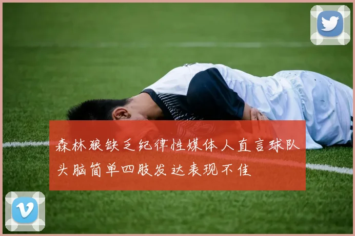 森林狼缺乏纪律性媒体人直言球队头脑简单四肢发达表现不佳