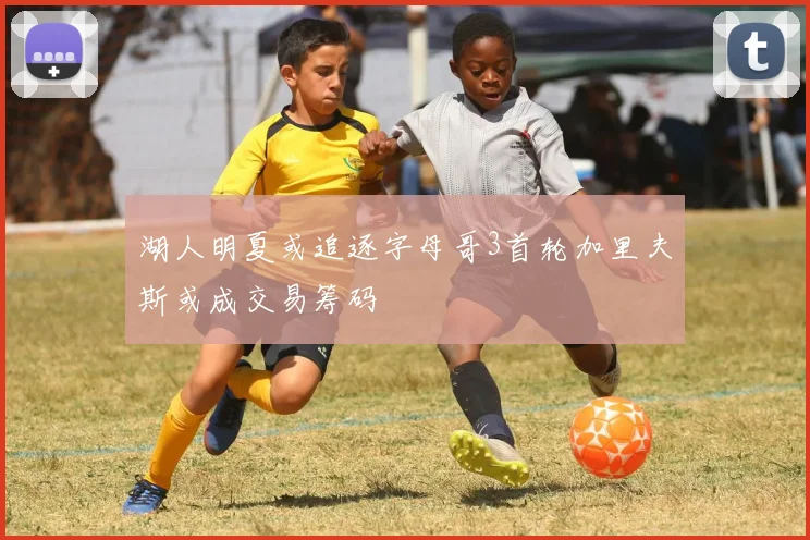 湖人明夏或追逐字母哥3首轮加里夫斯或成交易筹码