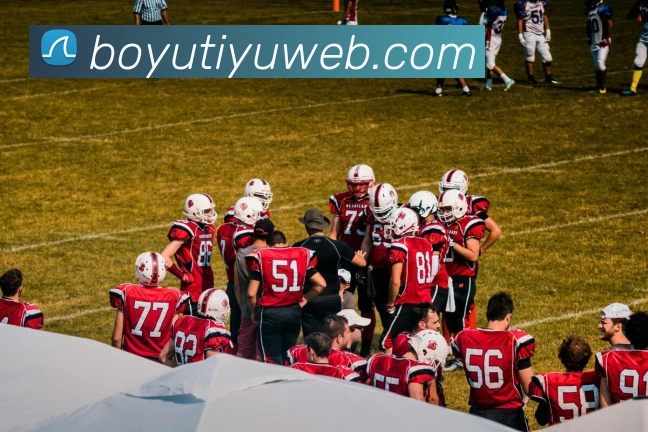 App Interface Preview