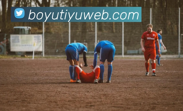 博鱼体育APP 封面图